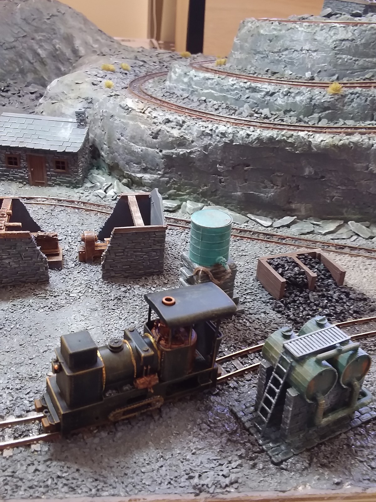 Sentinel Chain LOCO in the WILD